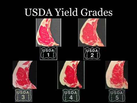 quality grades are used to